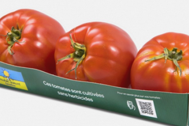 Carrefour poursuit le déploiement de sa blockchain sur la filière liée à la tomate