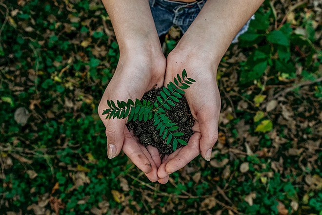 Etre une entreprise engagée : l’écologie largement en tête devant l’égalité femme-homme