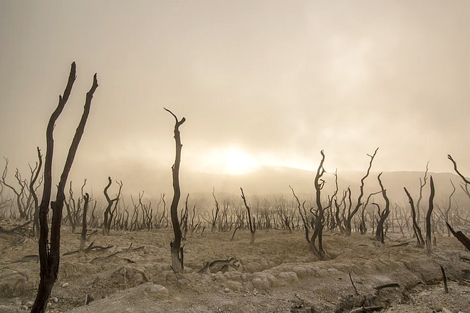 Les solution d’intelligence artificielle trop fragmentées pour un usage pour le climat